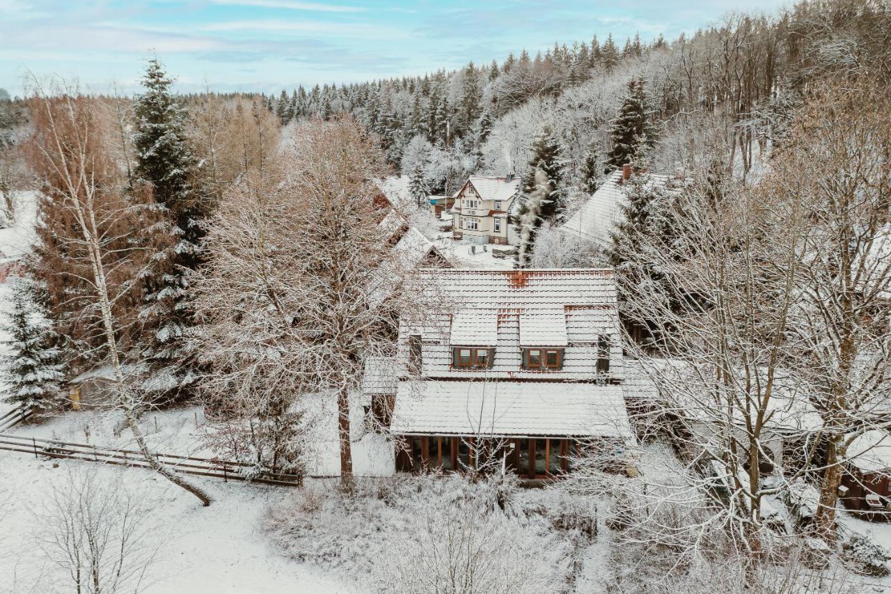 Harzchalet An Der Brockenbahn 2B エーレント エクステリア 写真